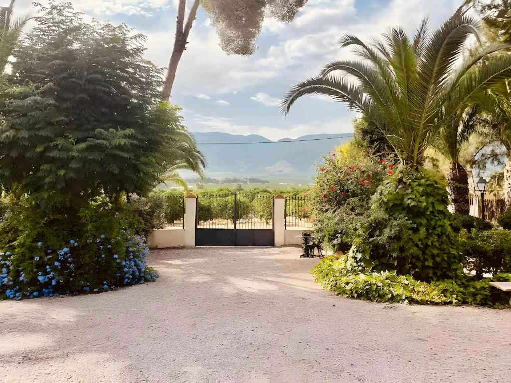 La entrada de la casa: verja blanca, palmeras y la sierra al fondo